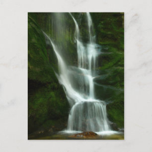 Tulip Creek Falls, Castlegar BC Postkarte