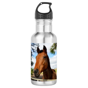 Tulip das Pferd, Wasserflasche