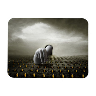 Tulip Dieb 2013 Magnet