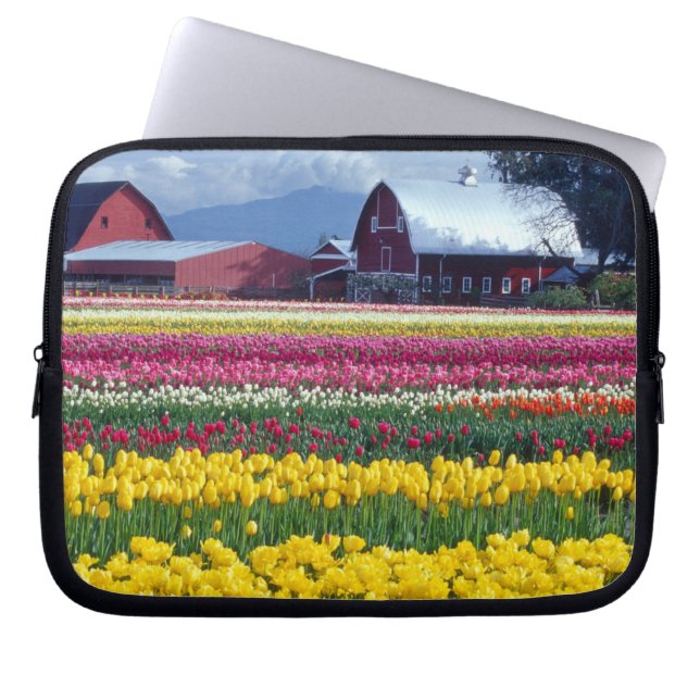 Tulip-Display-Feld Laptopschutzhülle (Vorderseite)
