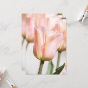 TULIP EINLADUNG