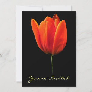 Tulip Einladung