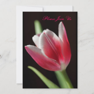 Tulip Einladung