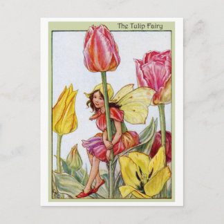 Tulip Fairy Postkarte