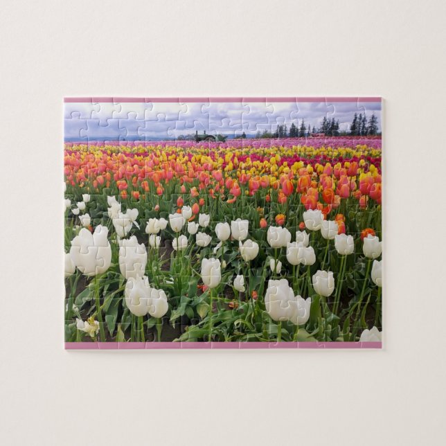 Tulip Farm (Horizontal)