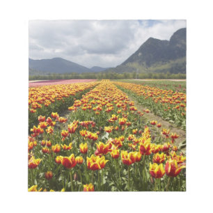 Tulip Farm in der Nähe von Agassiz, British Colum Notizblock