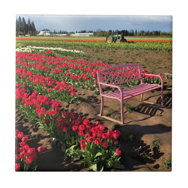 Tulip Farm in Oregon Fliese (Vorderseite)