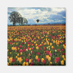 Tulip Farm in Oregon Magnet
