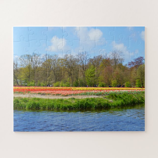 Tulip-Feld in Holland (Horizontal)