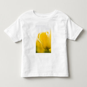 Tulip Felder des Berges Vernon, Skagit Landkreis,  Kleinkind T-shirt