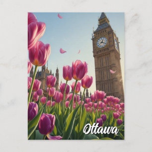 Tulip Festival in Ottawa Kanada Postkarte