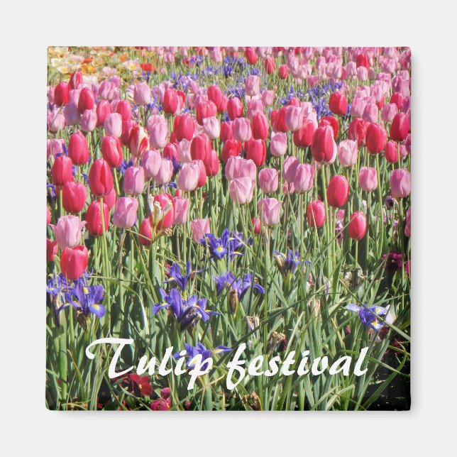 Tulip Festival Magnet (Vorne)