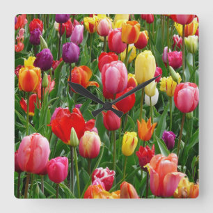 Tulip Festival Quadratische Wanduhr