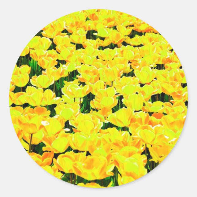 Tulip field - goldgelb runder aufkleber (Vorderseite)