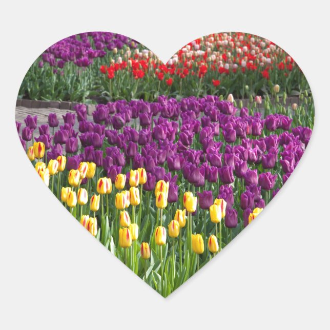 Tulip Field Herz-Aufkleber (Vorderseite)