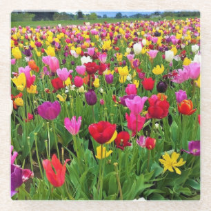 Tulip Field, Oregon Glasuntersetzer