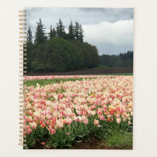 Tulip Field, Oregon Planer