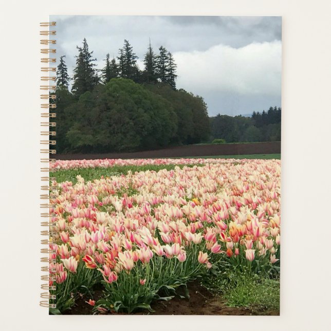 Tulip Field, Oregon Planer (Vorderseite)