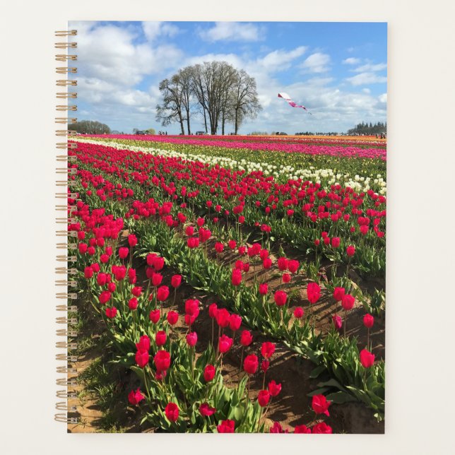 Tulip Field with Kite, Oregon Planer (Vorderseite)