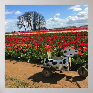 Tulip Field with Toy Cow, Oregon Poster