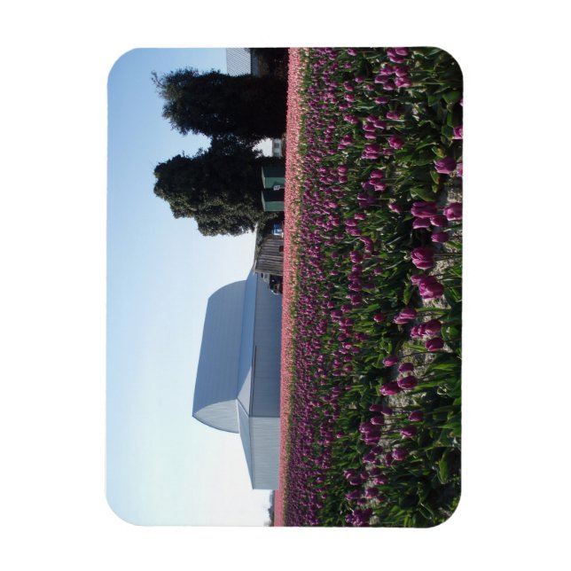 Tulip Fields Akrylic Print Magnet (Vertikal)