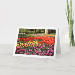 Tulip Galore Faltleere Grußkarte Karte