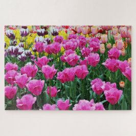 Tulip Garden