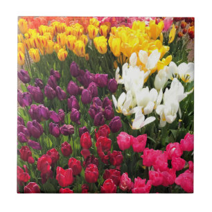 Tulip Garden Bed. Oregon Fliese