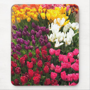 Tulip Garden Bed. Oregon Mousepad