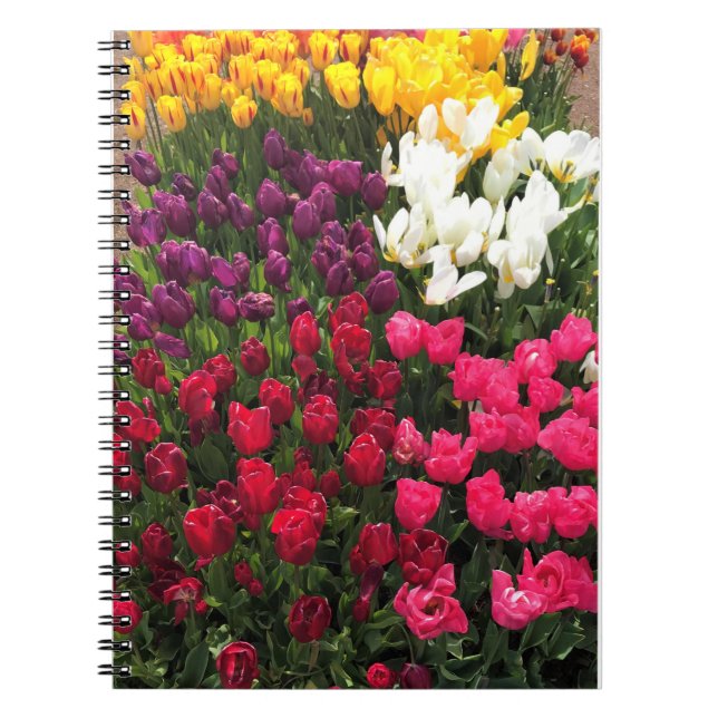 Tulip Garden Bed. Oregon Notizblock (Vorderseite)