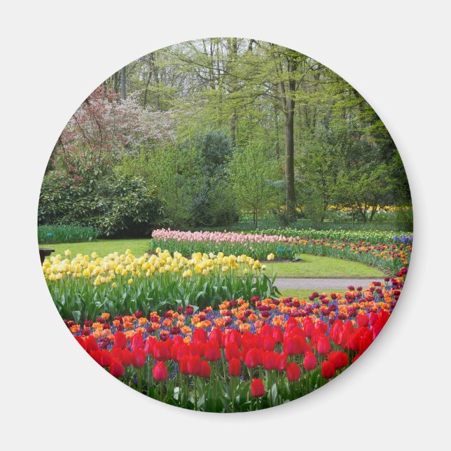 Tulip Garden Magnet (Vorne)