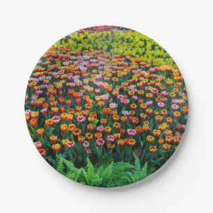 Tulip Garden Pappteller