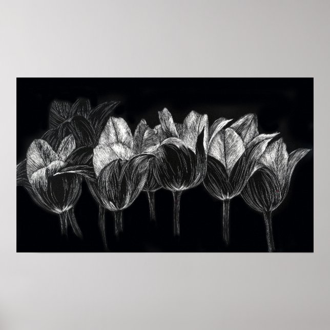 Tulip Garden Schwarz-weiß Scratchboard Poster (Vorne)