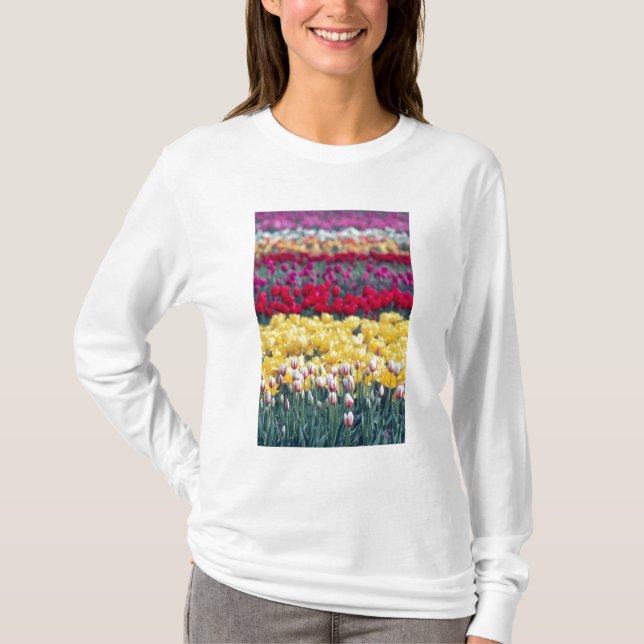 Tulip-Gartenanlage im Skagital, T-Shirt (Vorderseite)