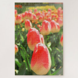 Tulip Heaven