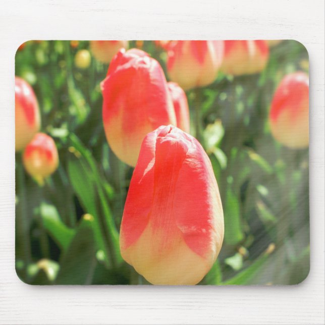 Tulip Heaven Mousepad (Vorne)
