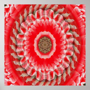 Tulip Illusion...... Poster
