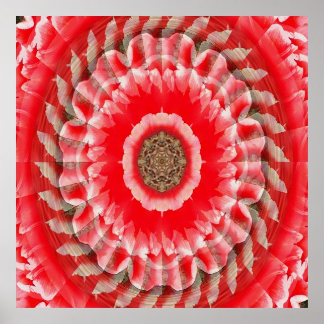Tulip Illusion...... Poster (Vorne)