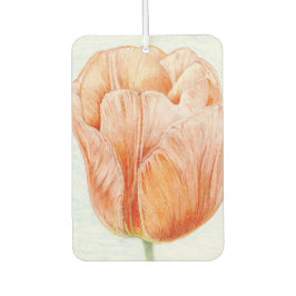 Tulip in Peach Color Autolufterfrischer