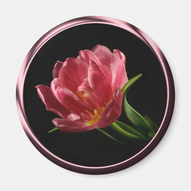 Tulip In Spring Double Bloom Photo Magnet (Devant)