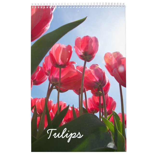 Tulip-Kalender Kalender (Titelbild)