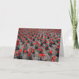 Tulip Karte