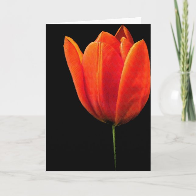 Tulip Karte (Vorderseite)