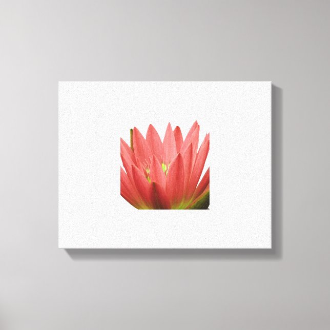 Tulip Leinwanddruck (Vorderseite)