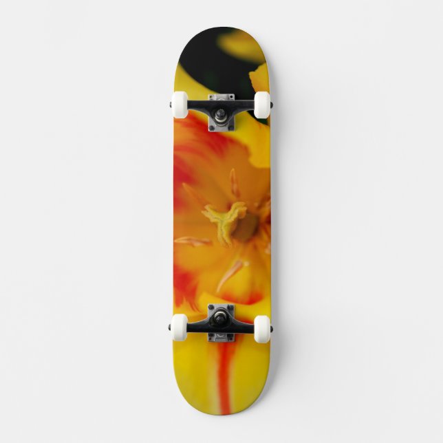 tulip macro skateboard (Vorderseite)
