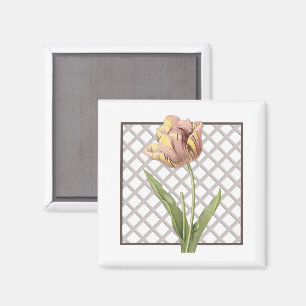 TULIP MAGNET