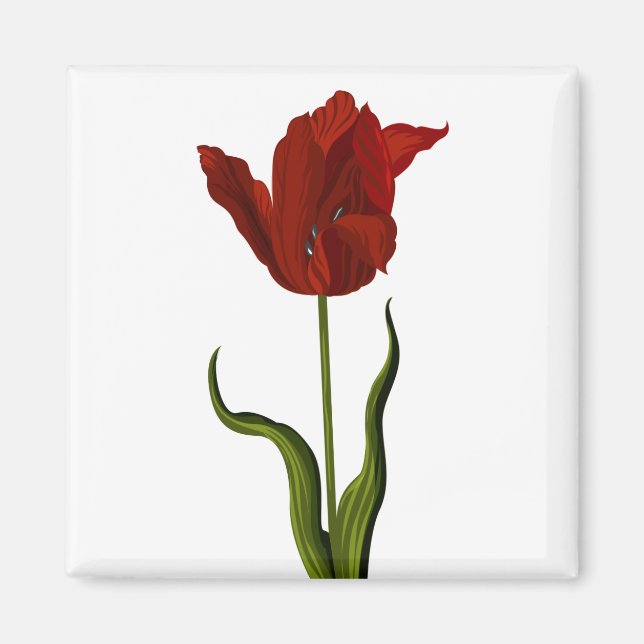 Tulip Magnet (Vorne)