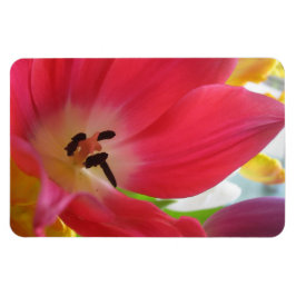 Tulip Magnet