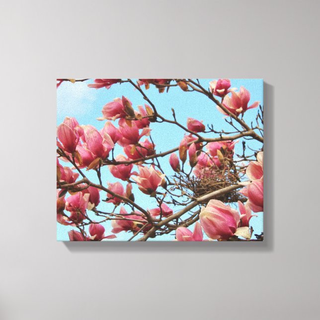 Tulip Magnolia Baum mit Birdsnest auf Leinwand (Vorderseite)
