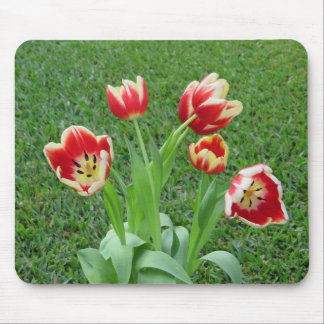 Tulip-Mauspad Mousepad